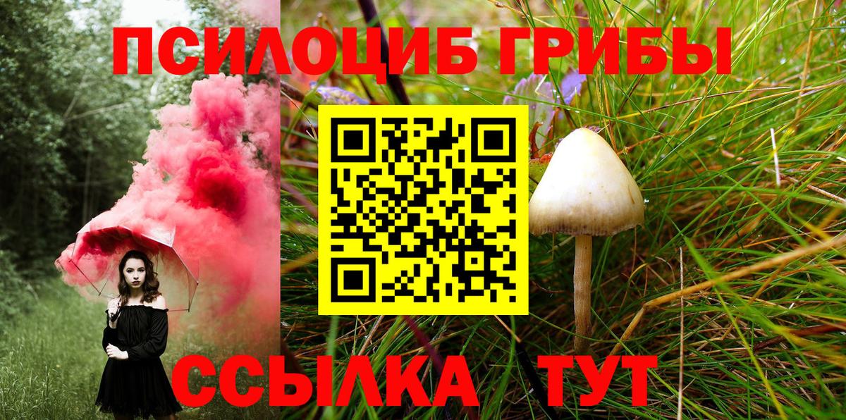 Псилоцибиновые грибы мухоморы Елизово