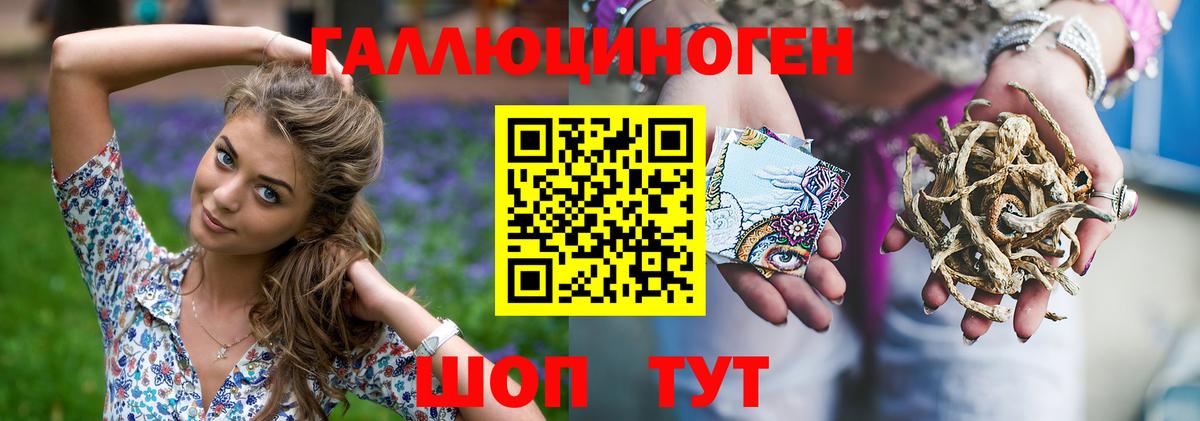 Галлюциногенные грибы Psilocybine cubensis  Псилоцибиновые грибы Cubensis  Вход с VPN  где купить наркоту  Елизово 