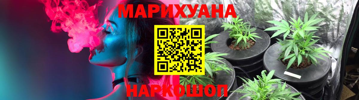 Бошки марихуана Ganja  Бошки Шишки SATIVA & INDICA  Елизово  Вход с VPN 
